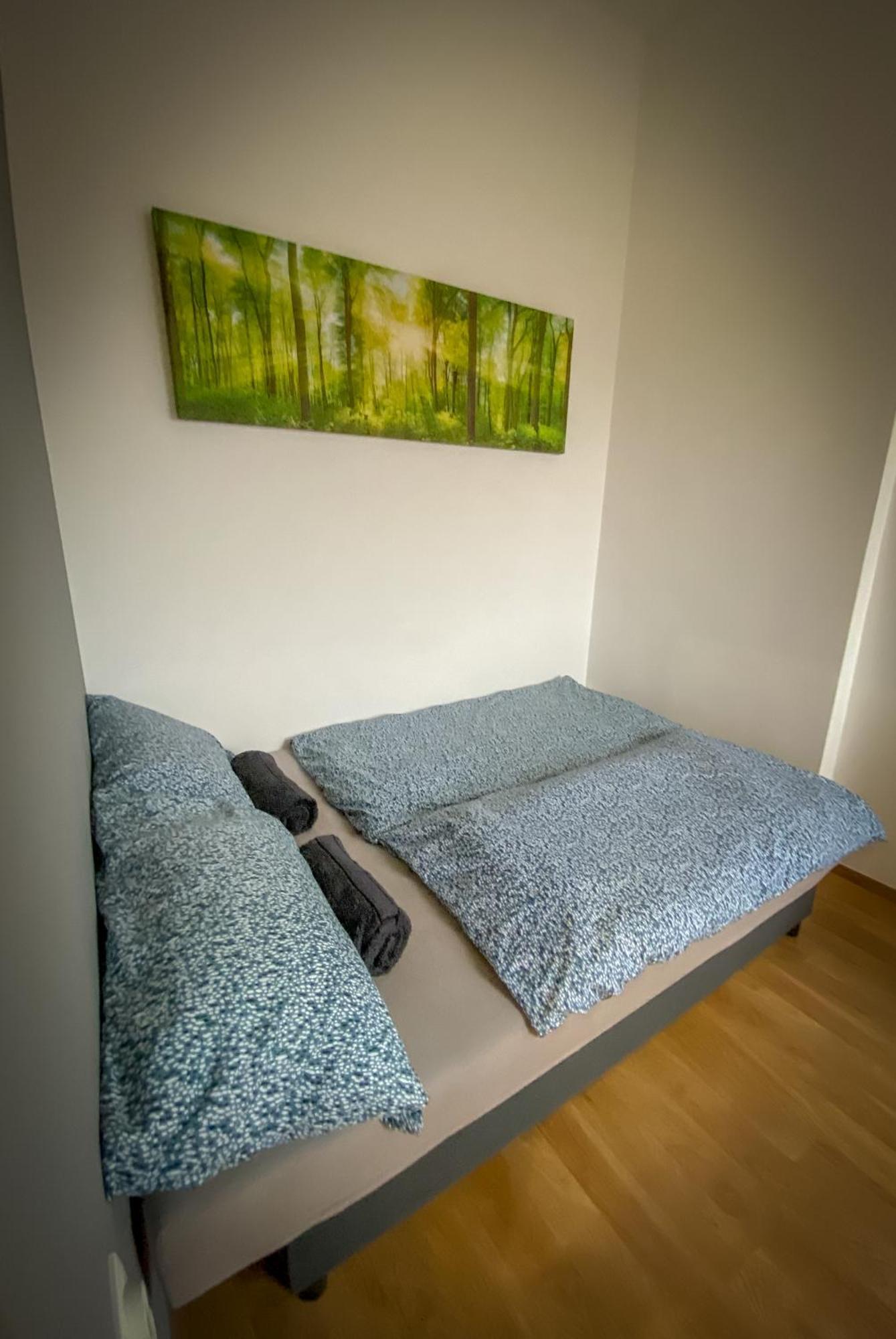 Lovely Central Apartment With Free Parking, Koezponthoz Koezeli 3 Szobas Lakas Gyor Ngoại thất bức ảnh